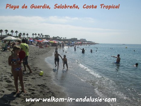 Andalusie Spanje, vakantie, cadiz, vuelva, sevilla, malaga - 6