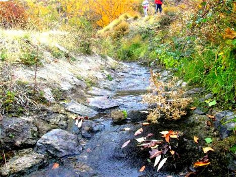 natuurvakantie andalusie spanje, vakantiehuisjes in de natuur - 7