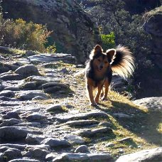 wandelen in andalusie wandelroutes