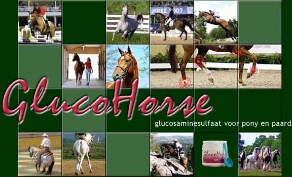 Hou uw paard in beweging : smeer zijn gewrichten met GlucoHorse ! - 5