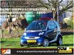Smart Fortwo - 0.7 pure 45KW aut ( AIRCO + INRUIL MOGELIJK ) - 1 - Thumbnail