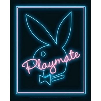 Playboy - Playmate Neon prints bij Stichting Superwens! - 1