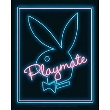 Playboy - Playmate Neon prints bij Stichting Superwens!