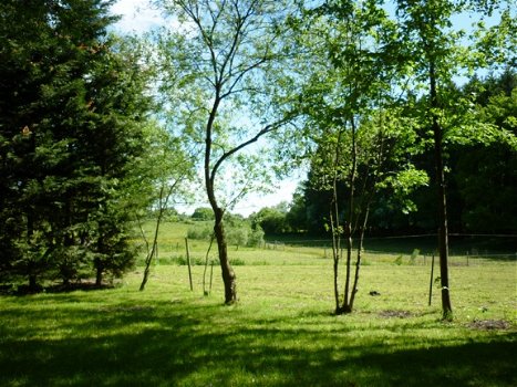 Sfeervol, vrijstaand chalet voor 6p in het bos - 8