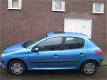 Peugeot 206 1.9 Diesel Plaatwerk en Onderdelen Sloopauto inkoop Den haag - 1 - Thumbnail