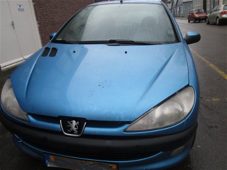 Peugeot 206 1.9 Diesel Plaatwerk en Onderdelen Sloopauto inkoop Den haag - 3