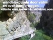 wandelen in Andalusie, wandelroutes in spanje - 4 - Thumbnail