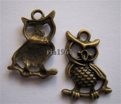 bedeltje/charm vogels : uiltje 14 brons - 24x16 mm - 1