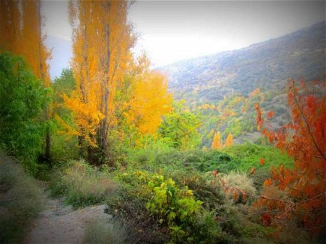 Spanje, sierra nevada, trevelez, alpuajrras, alpujarra, wandelen - 1