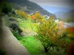 Spanje, sierra nevada, trevelez, alpuajrras, alpujarra, wandelen - 3 - Thumbnail