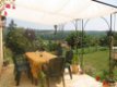 Dordogne Mooie vakantiehuis! Kindvriendelijke, Zwembad, JULI - 6 - Thumbnail