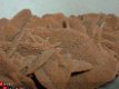 #9 Seleniet Gypsum Gips Woestijnroos Marokko - 1 - Thumbnail