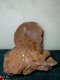 #8 Seleniet Gypsum Gips Woestijnroos Marokko - 1 - Thumbnail