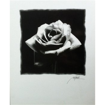 Black Roses prints bij Stichting Superwens! - 1