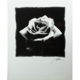 Black Roses prints bij Stichting Superwens! - 1 - Thumbnail