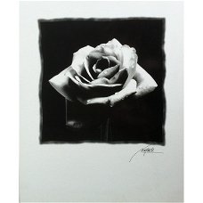 Black Roses prints bij Stichting Superwens!
