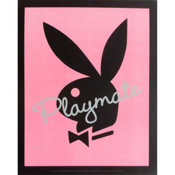 Playboy - Playmate pink prints bij Stichting Superwens! - 1