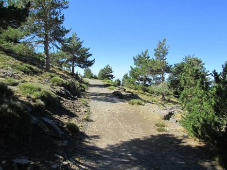 wandelroutes, wandelingen in de sierra nevada, spanje - 5