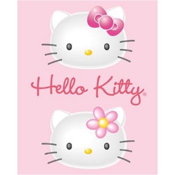 Hello Kitty 3D2 prints bij Stichting Superwens! - 1