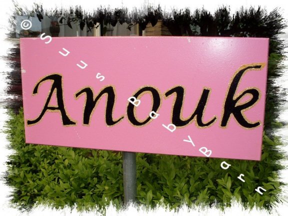 Geboortebord Baby Suzie met GRATIS extra's. Ook andere leuke geboorteborden en ooievaars. - Afbeelding 2