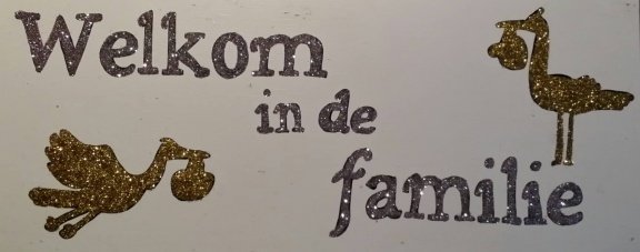 Geboortebord Ooievaar Jeroentje en Baby Suzie met GRATIS extra's. Ook andere leuke geboorteborden. - Afbeelding 7