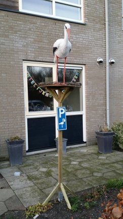 Zeer mooi ooievaarsnest met GRATIS ballonnen - nr. 1