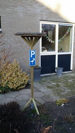 Zeer mooi ooievaarsnest met GRATIS ballonnen - Afbeelding 2