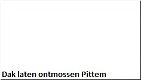 Dak laten ontmossen Pittem - 1 - Thumbnail