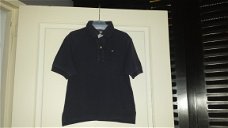 Tommy Hilfiger donker blauwe zomer polo met lichtblauw gestreept kraagje maat