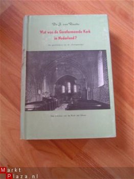 Wat was de Gereformeerde Kerk in Nederland? J. van Raalte - 1