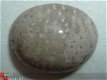 #14 Cabochon Fossiel Koraal Fossil Coral Cabochon - 1 - Thumbnail