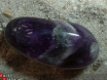 #13 Amethist Knuffelsteen Trommelsteen Tumbled Stone - 1 - Thumbnail