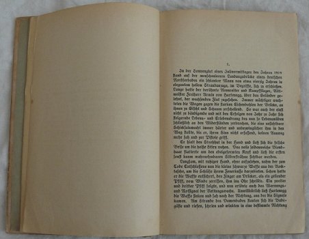 Boek, Die Sünde wider den Geist, Artur Dinter, 1921. - 4