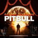 Pitbull - Global Warming (Deluxe Edition) (16 Tracks ) (Nieuw/Gesealed) - 1 - Thumbnail