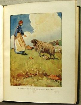 Tiny True Tales of Animals HC Mary Macleod - Rountree (ill.) - 4