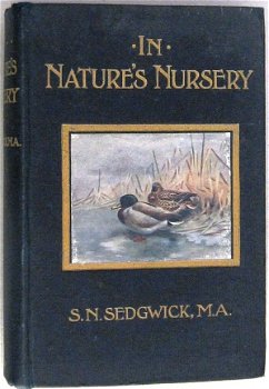 In Nature's Nursery HC Sedgwick [c. 1900-1940] - 1