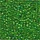 Mill Hill Glass Seed Beads 00167 Christmas Green doos GERESERVEERD - 1 - Thumbnail