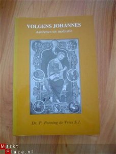 Volgens Johannes door P. Penning de Vries S.J.
