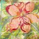 SALE NIEUW vel scrappapier Flower / Aged&Confused van Basic Grey - 1 - Thumbnail