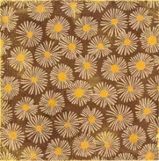 SALE NIEUW vel scrappapier Wild Saffron Daisies van K&Company