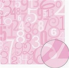 SALE NIEUW vel scrappapier Pink Numbers van Provo Craft