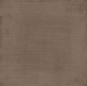 SALE NIEUW vel scrappapier Blueberrie Rustic Dots van Bo Bunny - 1