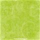 SALE NIEUW vel scrappapier Lime Swirl van Bo Bunny - 1 - Thumbnail