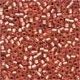 Mill Hill Antique Seed Beads 03057 Cherry Sorbet 5 gram - 1 - Thumbnail