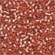 Mill Hill Antique Seed Beads 03057 Cherry Sorbet - 1 - Thumbnail