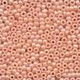 Mill Hill Antique Seed Beads 03052 Dessert Peach doos - 1 - Thumbnail