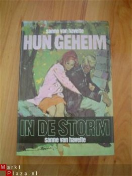 Hun geheim en In de storm door Sanne van Havelte - 1