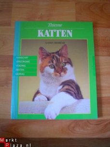 Katten door Katrin Behrend