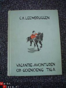 Vacantie-avonturen op Goenoeng Tiga door C.A. Leembruggen