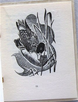 The Book of Nature [c1930/40] Jonathan Scott (ill) Bouquards - 7